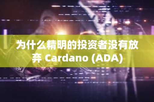 为什么精明的投资者没有放弃 Cardano (ADA)