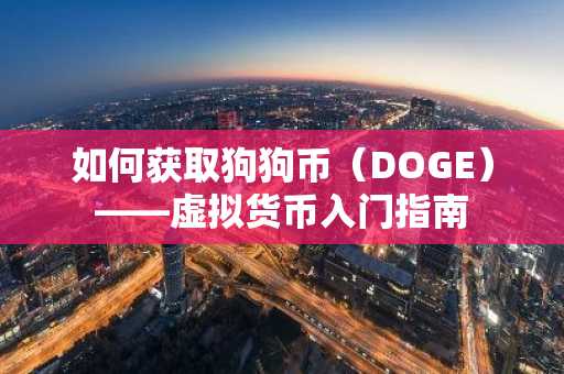 如何获取狗狗币（DOGE）——虚拟货币入门指南