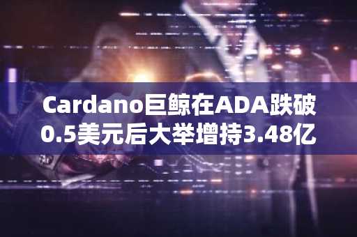 Cardano巨鲸在ADA跌破0.5美元后大举增持3.48亿枚，交易者需关注这些关键点