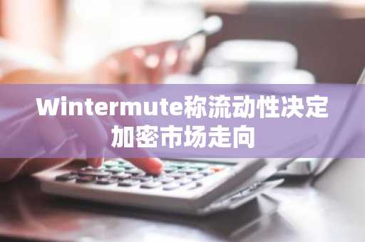 Wintermute称流动性决定加密市场走向