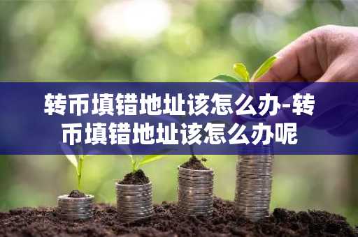 转币填错地址该怎么办-转币填错地址该怎么办呢