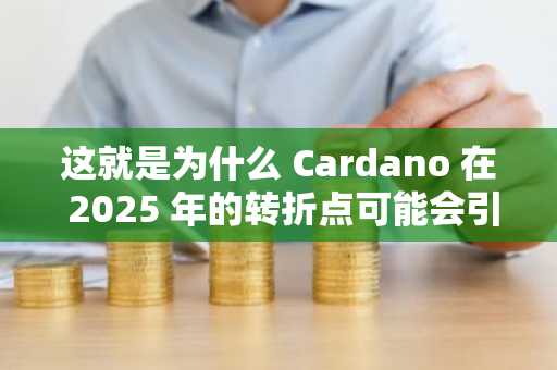 这就是为什么 Cardano 在 2025 年的转折点可能会引发 2026 年的大幅上涨