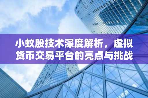 小蚁股技术深度解析，虚拟货币交易平台的亮点与挑战