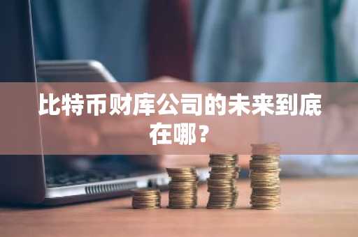 比特币财库公司的未来到底在哪？