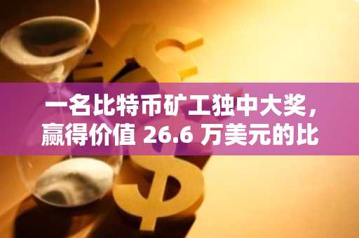 一名比特币矿工独中大奖，赢得价值 26.6 万美元的比特币奖励