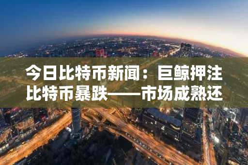 今日比特币新闻：巨鲸押注比特币暴跌——市场成熟还是加密货币寒冬？