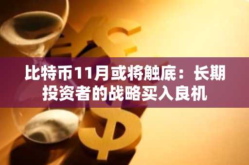 比特币11月或将触底：长期投资者的战略买入良机