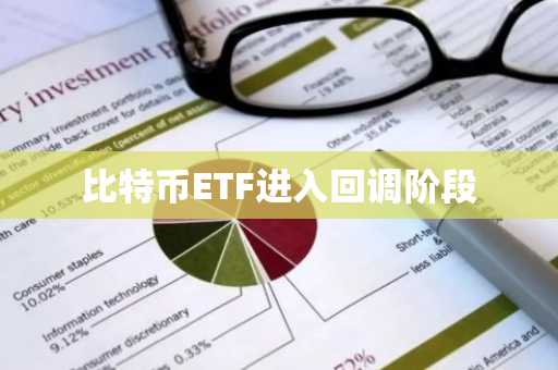比特币ETF进入回调阶段