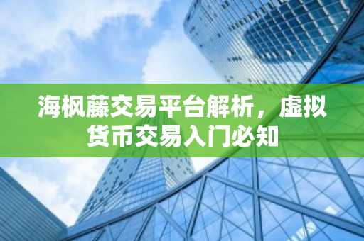海枫藤交易平台解析，虚拟货币交易入门必知