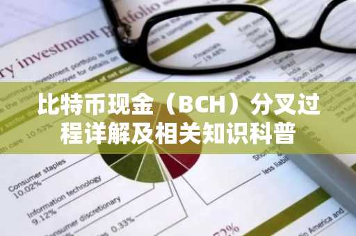 比特币现金（BCH）分叉过程详解及相关知识科普
