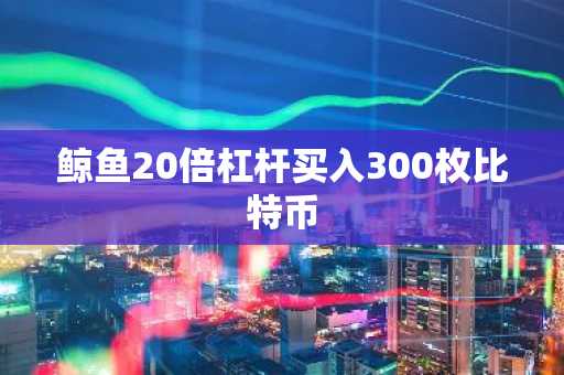 鲸鱼20倍杠杆买入300枚比特币