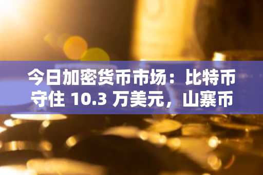 今日加密货币市场：比特币守住 10.3 万美元，山寨币表现落后，交易员对冲下行风险
