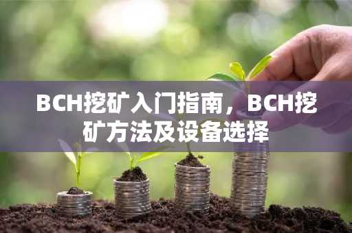 BCH挖矿入门指南，BCH挖矿方法及设备选择