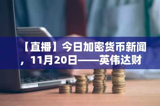 【直播】今日加密货币新闻，11月20日——英伟达财报强劲，比特币价格重回9.2万美元：下一个爆发的加密货币会是哪个？