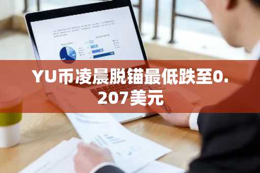 YU币凌晨脱锚最低跌至0.207美元