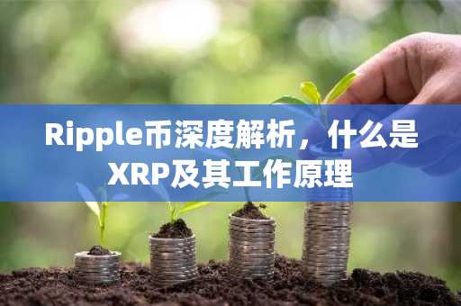Ripple币深度解析，什么是XRP及其工作原理