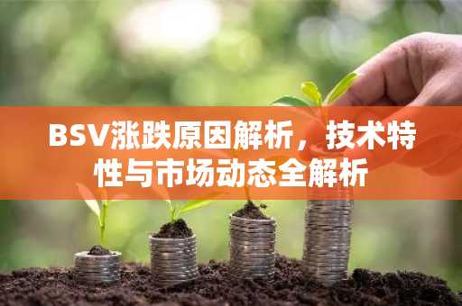 BSV涨跌原因解析，技术特性与市场动态全解析