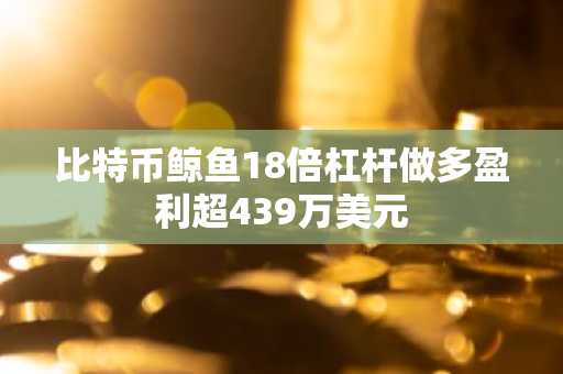 比特币鲸鱼18倍杠杆做多盈利超439万美元
