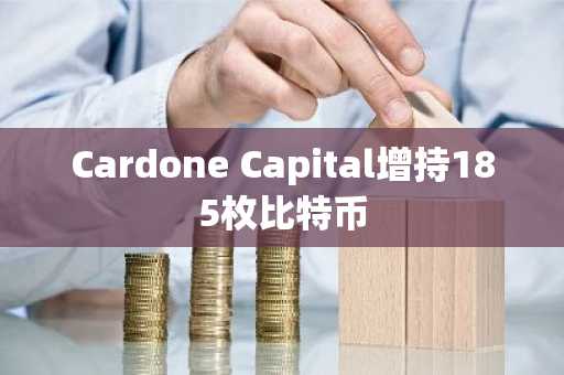 Cardone Capital增持185枚比特币