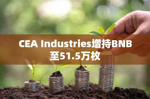 CEA Industries增持BNB至51.5万枚