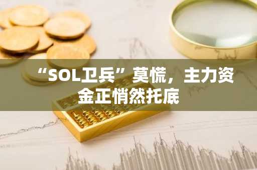 “SOL卫兵”莫慌，主力资金正悄然托底