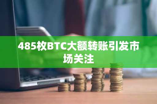 485枚BTC大额转账引发市场关注