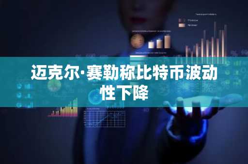 迈克尔·赛勒称比特币波动性下降