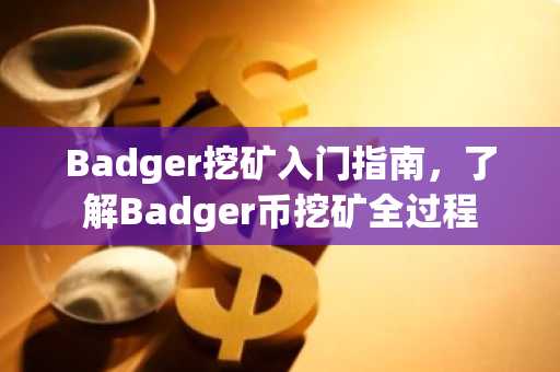 Badger挖矿入门指南，了解Badger币挖矿全过程