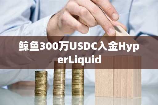 鲸鱼300万USDC入金HyperLiquid