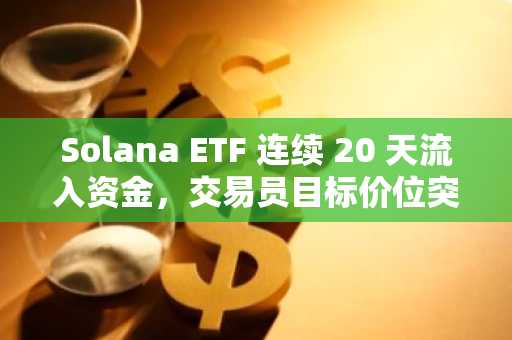 Solana ETF 连续 20 天流入资金，交易员目标价位突破 144 美元