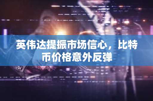 英伟达提振市场信心，比特币价格意外反弹