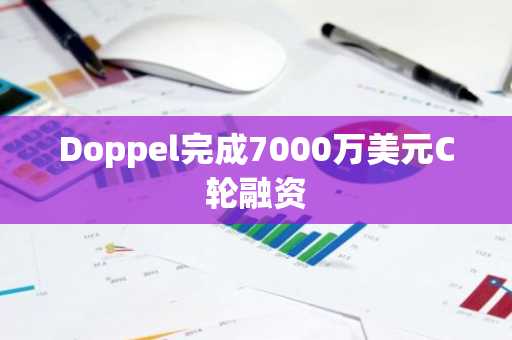 Doppel完成7000万美元C轮融资