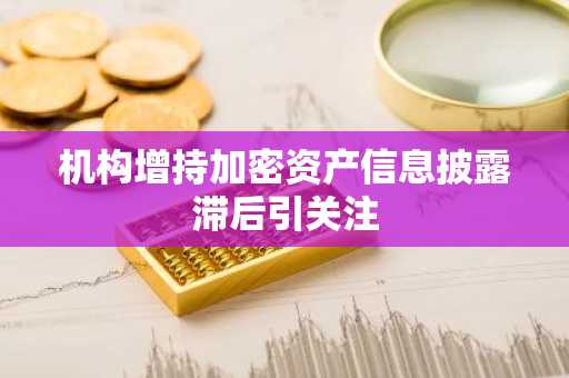机构增持加密资产信息披露滞后引关注