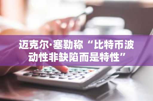 迈克尔·塞勒称“比特币波动性非缺陷而是特性”