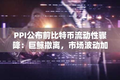 PPI公布前比特币流动性骤降：巨鲸撤离，市场波动加剧