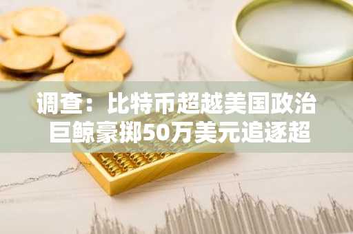调查：比特币超越美国政治 巨鲸豪掷50万美元追逐超额收益