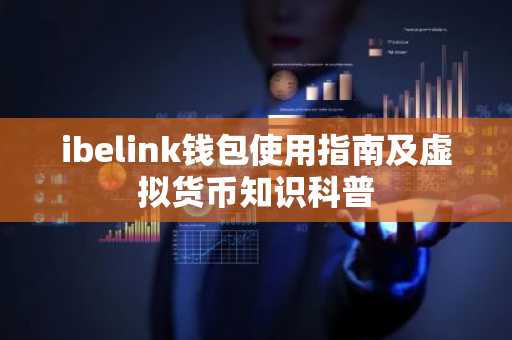 ibelink钱包使用指南及虚拟货币知识科普
