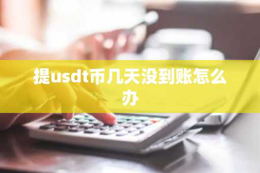 提usdt币几天没到账怎么办