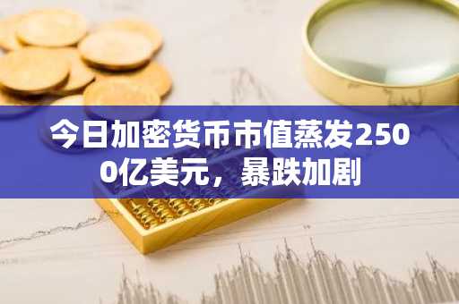 今日加密货币市值蒸发2500亿美元，暴跌加剧