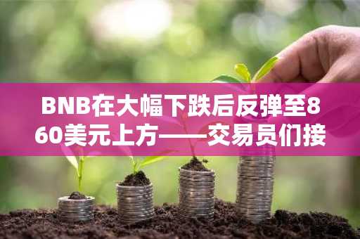 BNB在大幅下跌后反弹至860美元上方——交易员们接下来关注什么？