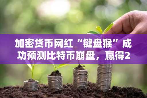 加密货币网红“键盘猴”成功预测比特币崩盘，赢得20万美元巨额赌注