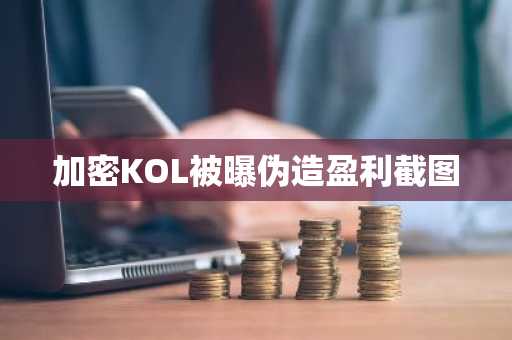 加密KOL被曝伪造盈利截图