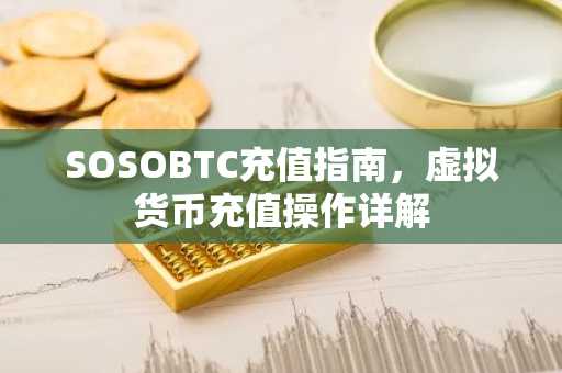 SOSOBTC充值指南，虚拟货币充值操作详解