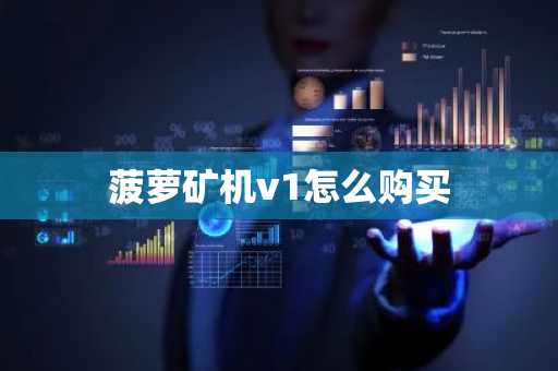 菠萝矿机v1怎么购买