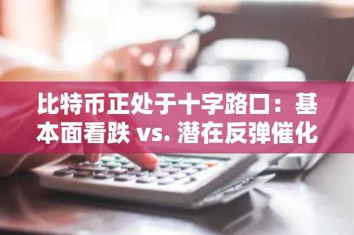 比特币正处于十字路口：基本面看跌 vs. 潜在反弹催化剂
