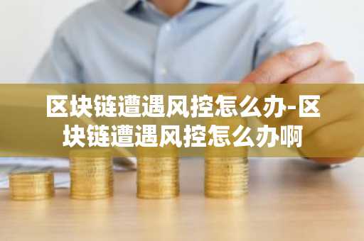 区块链遭遇风控怎么办-区块链遭遇风控怎么办啊