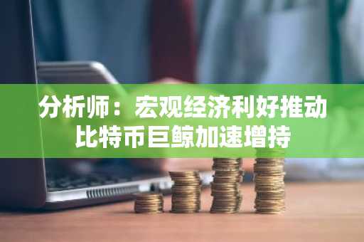 分析师：宏观经济利好推动比特币巨鲸加速增持