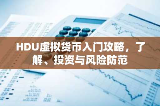 HDU虚拟货币入门攻略，了解、投资与风险防范