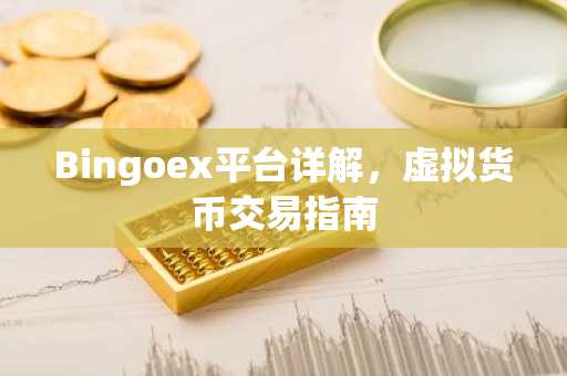 Bingoex平台详解，虚拟货币交易指南