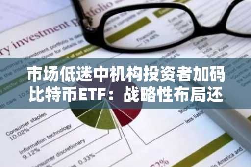 市场低迷中机构投资者加码比特币ETF：战略性布局还是短期调整？